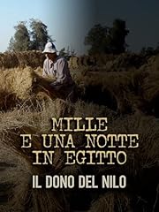 Mille una notte usato  Spedito ovunque in Italia 