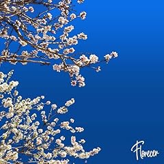 Florecer usato  Spedito ovunque in Italia 
