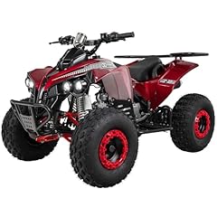Actionbikes motors kinder gebraucht kaufen  Wird an jeden Ort in Deutschland