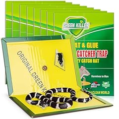 Pack jumbo sticky for sale  Delivered anywhere in USA 