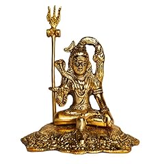 Wonder care shiva usato  Spedito ovunque in Italia 