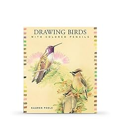 Drawing birds colored for sale  Delivered anywhere in UK