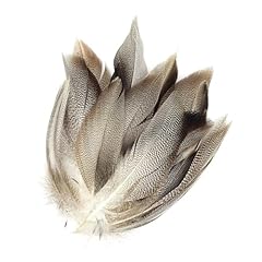 Lot ailes canard d'occasion  Livré partout en France