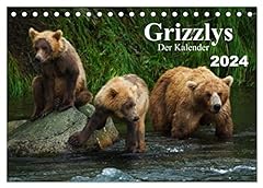 Grizzlys kalender version gebraucht kaufen  Wird an jeden Ort in Deutschland