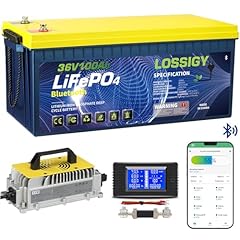 Lossigy 36v lithium for sale  Delivered anywhere in USA 