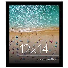 Americanflat 12x14 picture for sale  Delivered anywhere in USA 