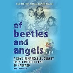 Beetles angels boy for sale  Delivered anywhere in UK