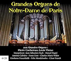 Grandes orgues dame d'occasion  Livré partout en France
