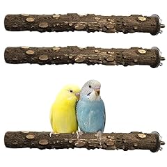 Pinvnby bird perch for sale  Delivered anywhere in USA 