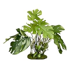Blue ribbon pet for sale  Delivered anywhere in USA 