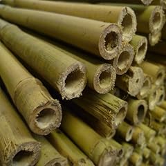7ft bamboo canes for sale  Delivered anywhere in UK