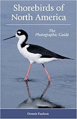 Shorebirds north america for sale  Delivered anywhere in USA 