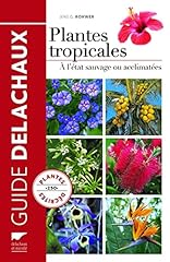 Plantes tropicales sauvage d'occasion  Livré partout en France
