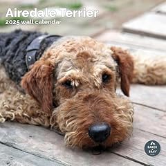Baker bray airedale for sale  Delivered anywhere in UK