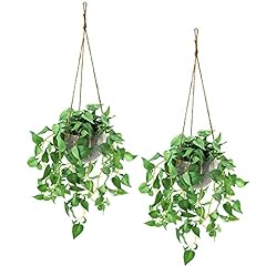 Tnntopele fake hanging for sale  Delivered anywhere in USA 