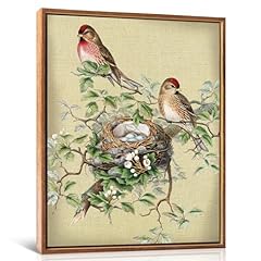 Lhiuem birds pictures for sale  Delivered anywhere in USA 