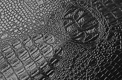Wento alligator skin for sale  Delivered anywhere in USA 