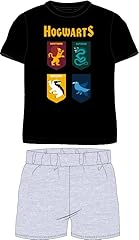 Harry potter hogwarts usato  Spedito ovunque in Italia 