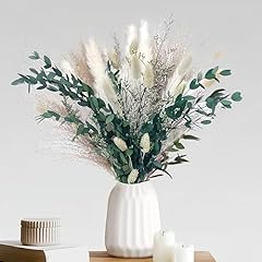 Nature pampas grass for sale  Delivered anywhere in UK