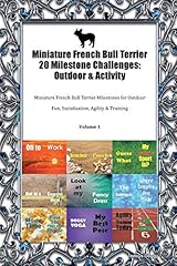 Miniature french bull d'occasion  Livré partout en France