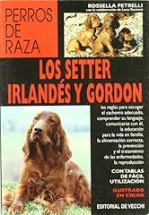 Los setter irlandés d'occasion  Livré partout en France