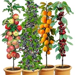 Baldur garten säulen gebraucht kaufen  Wird an jeden Ort in Deutschland