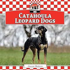 Catahoula leopard dogs usato  Spedito ovunque in Italia 