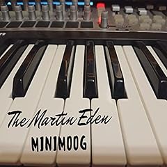 Minimoog gebraucht kaufen  Wird an jeden Ort in Deutschland