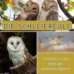 Schleiereule einblicke lautlos gebraucht kaufen  Wird an jeden Ort in Deutschland