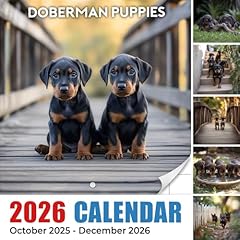 Doberman puppies calendar for sale  Delivered anywhere in UK
