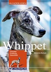 Whippet charakter erziehung d'occasion  Livré partout en France