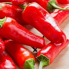 Chilli seeds chilli for sale  Delivered anywhere in UK