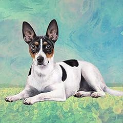 Rat terrier absorbent for sale  Delivered anywhere in USA 