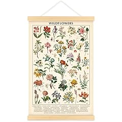 Vintage Wildflowers Poster Botanical Wall Art Prints for sale  Delivered anywhere in Canada