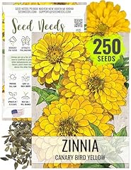 Seed needs canary for sale  Delivered anywhere in USA 