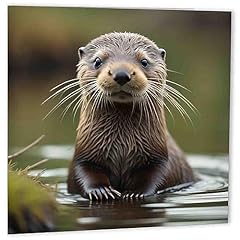 Otter birthday card for sale  Delivered anywhere in UK