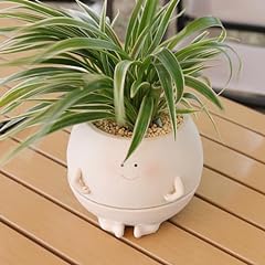 Umesong self watering for sale  Delivered anywhere in USA 