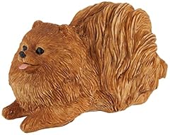 Sandicast orange pomeranian for sale  Delivered anywhere in USA 