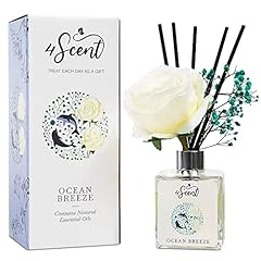 4scent reed diffuser for sale  Delivered anywhere in UK