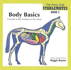 Body basics guide gebraucht kaufen  Wird an jeden Ort in Deutschland