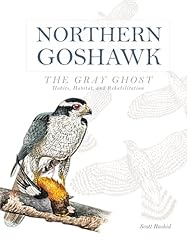 Northern goshawk gray for sale  Delivered anywhere in UK
