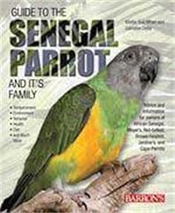 Guide senegal parrot for sale  Delivered anywhere in USA 