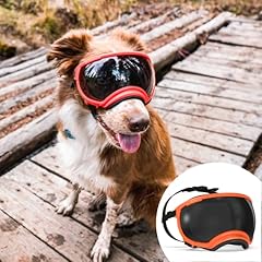 Rex specs dog for sale  Delivered anywhere in USA 