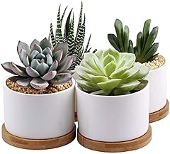 7wunderbar lot pots d'occasion  Livré partout en Belgiqu