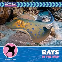 Rays the wild usato  Spedito ovunque in Italia 