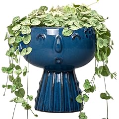 Fivepot head planter for sale  Delivered anywhere in USA 