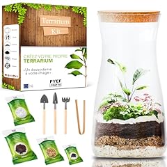 Kit terrarium plante d'occasion  Livré partout en France