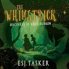 Whimstrick discovery whimsburr for sale  Delivered anywhere in UK