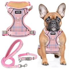 Gamuda pet harness for sale  Delivered anywhere in USA 