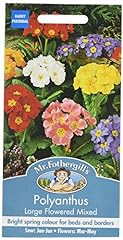 Fothergill 16650 polyanthus for sale  Delivered anywhere in Ireland